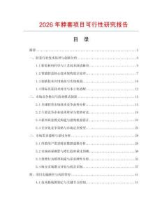 2026年脖套項目可行性研究報告