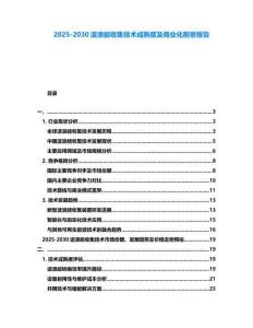 2025-2030波浪能收集技術(shù)成熟度及商業(yè)化前景報告