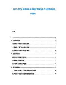 2025-2030信息安全體系建設(shè)可靠性及行業(yè)增值機(jī)遇分析報(bào)告