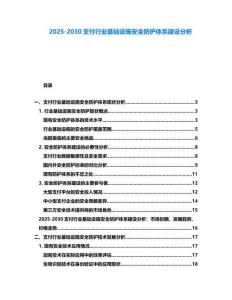 2025-2030支付行業(yè)基礎(chǔ)設(shè)施安全防護(hù)體系建設(shè)分析