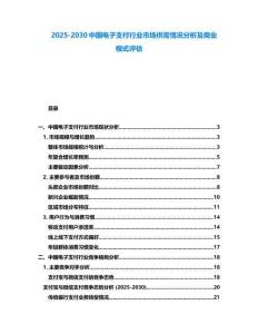 2025-2030中國電子支付行業(yè)市場供需情況分析及商業(yè)模式評估