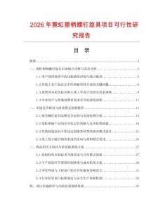 2026年霓虹塑柄螺釘旋具項(xiàng)目可行性研究報告