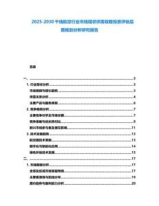 2025-2030干線航空行業市場現狀供需收取投資評估后盾規劃分析研究報告