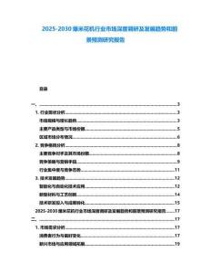 2025-2030爆米花機行業市場深度調研及發展趨勢和前景預測研究報告