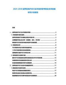 2025-2030波羅的海汽車行業(yè)市場供需考察及未來發(fā)展研究計劃報告