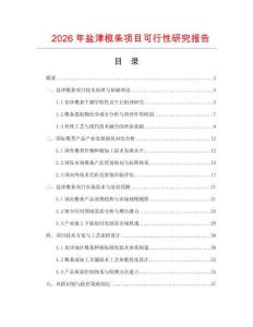 2026年盐津榄条项目可行性研究报告