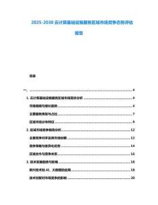 2025-2030云計算基礎設施服務區域市場競爭態勢評估報告