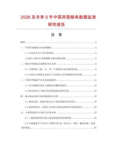 2026及未來(lái)5年中國(guó)異型鏈條數(shù)據(jù)監(jiān)測(cè)研究報(bào)告