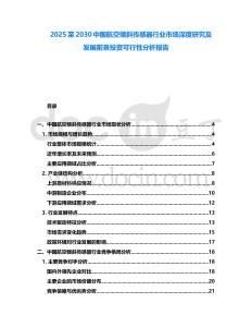 2025至2030中國航空傾斜傳感器行業(yè)市場深度研究及發(fā)展前景投資可行性分析報告