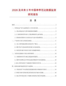 2026及未來5年中國串帶花邊數據監測研究報告