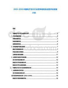 2025-2030中國電子支付行業競爭格局及運營評估發展計劃