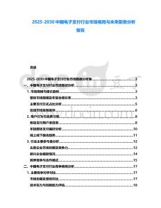 2025-2030中國電子支付行業市場格局與未來前景分析報告