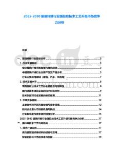 2025-2030玻璃纖維行業強拉絲技術工藝升級市場競爭力分析