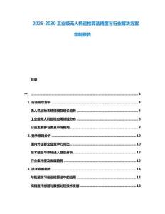 2025-2030工業(yè)級無人機(jī)巡檢算法精度與行業(yè)解決方案定制報告