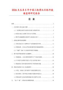 2026及未來5年中國三輪摩托車配件數據監測研究報告