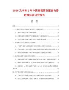 2026及未來5年中國臭氧管及配套電路數(shù)據(jù)監(jiān)測研究報告