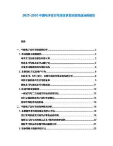 2025-2030中國電子支付市場現狀及投資效益分析報告
