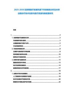 2025-2030互联网医疗发展热潮下市场格局分析及未来远程诊疗技术完善与医疗资源均衡配置研究