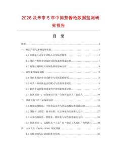 2026及未來(lái)5年中國(guó)茄醬槍數(shù)據(jù)監(jiān)測(cè)研究報(bào)告