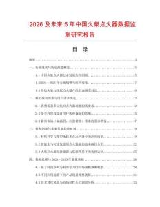 2026及未來5年中國火柴點火器數據監測研究報告