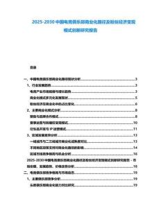2025-2030中國電競俱樂部商業化路徑及粉絲經濟變現模式創新研究報告