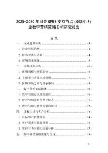 2025-2030年網(wǎng)關(guān)GPRS支持節(jié)點（GGSN）行業(yè)數(shù)字營銷策略分析研究報告