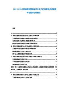 2025-2030高精度地圖測繪行業無人機應用技術發展現狀與趨勢分析報告
