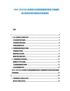 2025-2030無人機測繪行業高精度數據采集及三維建模技術應用與地形測量技術預測報告