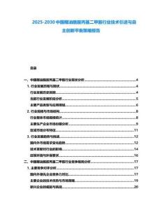 2025-2030中國椰油酰胺丙基二甲胺行業技術引進與自主創新平衡策略報告
