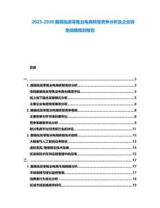 2025-2030服裝批發零售業電商轉型競爭分析及企業轉型戰略規劃報告