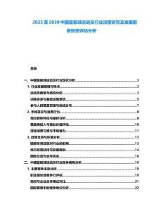 2025至2030中國籃板球運動員行業深度研究及發展前景投資評估分析