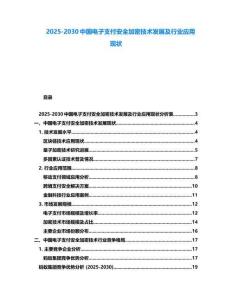 2025-2030中國電子支付安全加密技術發展及行業應用現狀