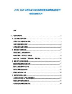 2025-2030日用化工行業(yè)市場營銷策略品牌建設(shè)投資評估規(guī)劃分析文件