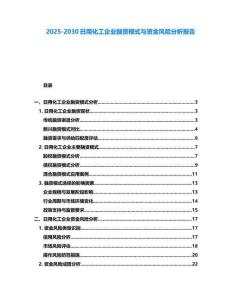 2025-2030日用化工企業融資模式與資金風險分析報告