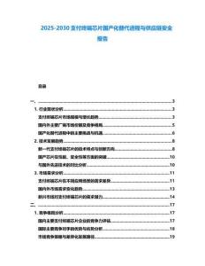 2025-2030支付終端芯片國產化替代進程與供應鏈安全報告