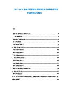 2025-2030中國云計算基礎設施布局優化與數字化轉型機遇全景分析報告