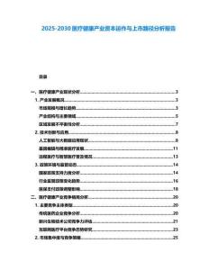 2025-2030醫療健康產業資本運作與上市路徑分析報告
