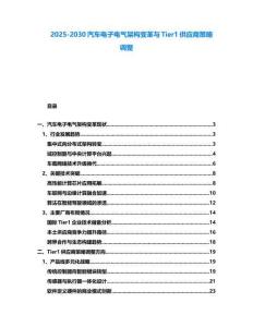 2025-2030汽車電子電氣架構變革與Tier1供應商策略調(diào)整