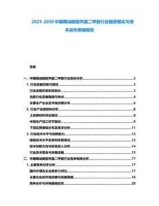 2025-2030中國椰油酰胺丙基二甲胺行業融資模式與資本運作策略報告