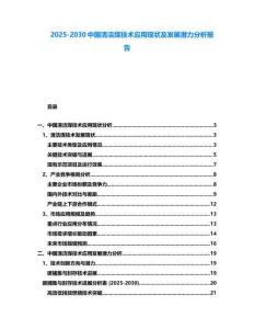 2025-2030中國清潔煤技術應用現狀及發展潛力分析報告