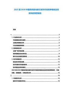 2025至2030中國高純度光酸引發劑市場競爭格局及投資風險預警報告