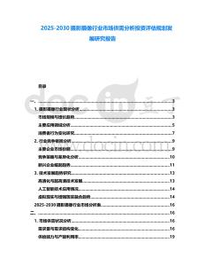 2025-2030攝影攝像行業市場供需分析投資評估規劃發展研究報告