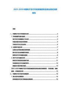 2025-2030中國(guó)電子支付市場(chǎng)發(fā)展趨勢(shì)及商業(yè)模式創(chuàng)新報(bào)告