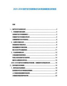 2025-2030醫(yī)療支付創(chuàng)新模式與未來發(fā)展前景分析報(bào)告