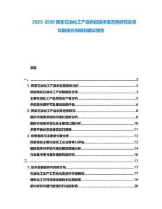 2025-2030西亞石油化工產品供應鏈供需態勢研究及項目融資方向規劃建議報告