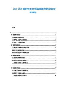 2025-2030德國半導(dǎo)體芯片領(lǐng)域進(jìn)展現(xiàn)狀橫向比較分析研究報告