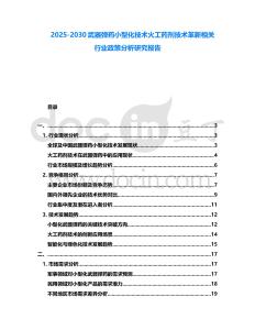 2025-2030武器彈藥小型化技術火工藥劑技術革新相關行業政策分析研究報告
