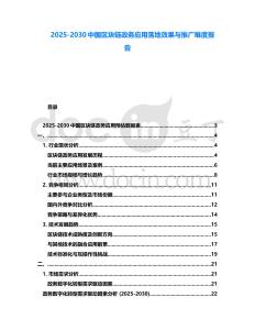 2025-2030中國區(qū)塊鏈政務應用落地效果與推廣難度報告