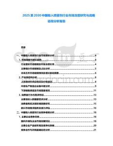 2025至2030中國吸入噴霧劑行業市場深度研究與戰略咨詢分析報告