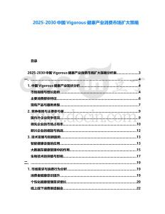 2025-2030中國Vigorous健康產業消費市場擴大策略